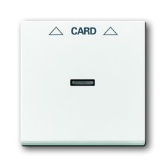 pim-989578_1.jpg