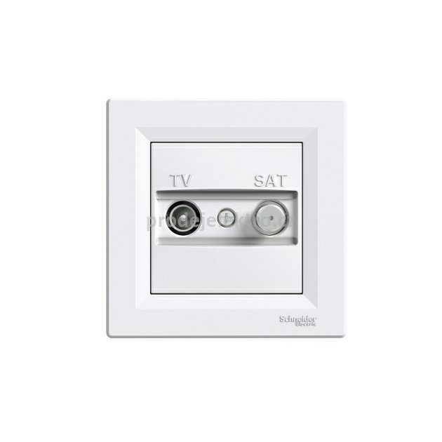 pim-749700_1.jpg